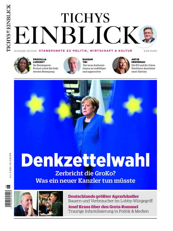 Denkzettelwahl