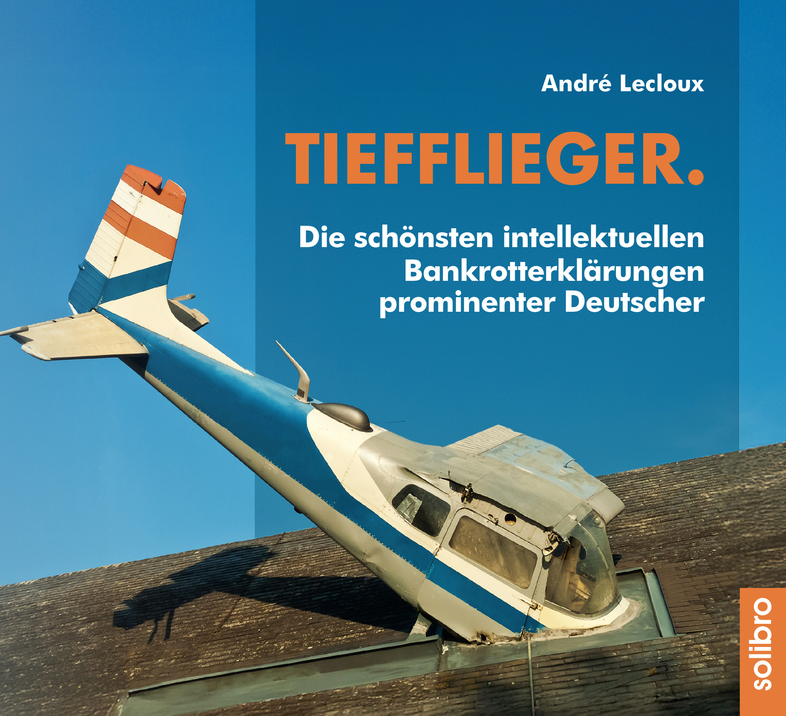 Tiefflieger