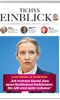 TE 0625 - Alice Weidel im Interview